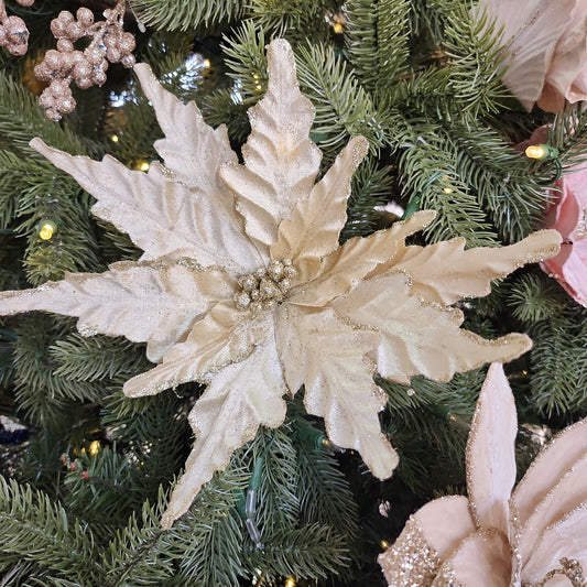 Cream Poinsettia 25cm- Set of 2