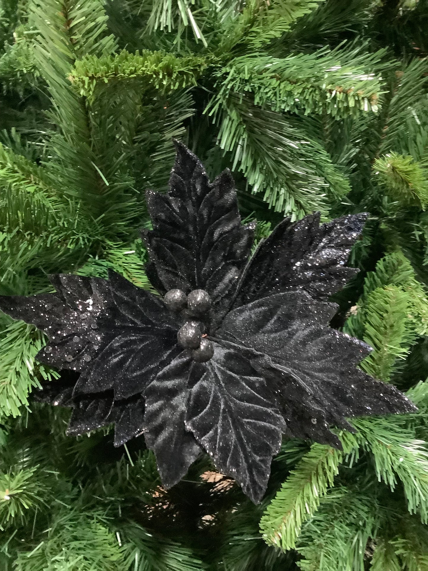 Black Velvet Poinsettia With Glitter 20cm- Set of 2